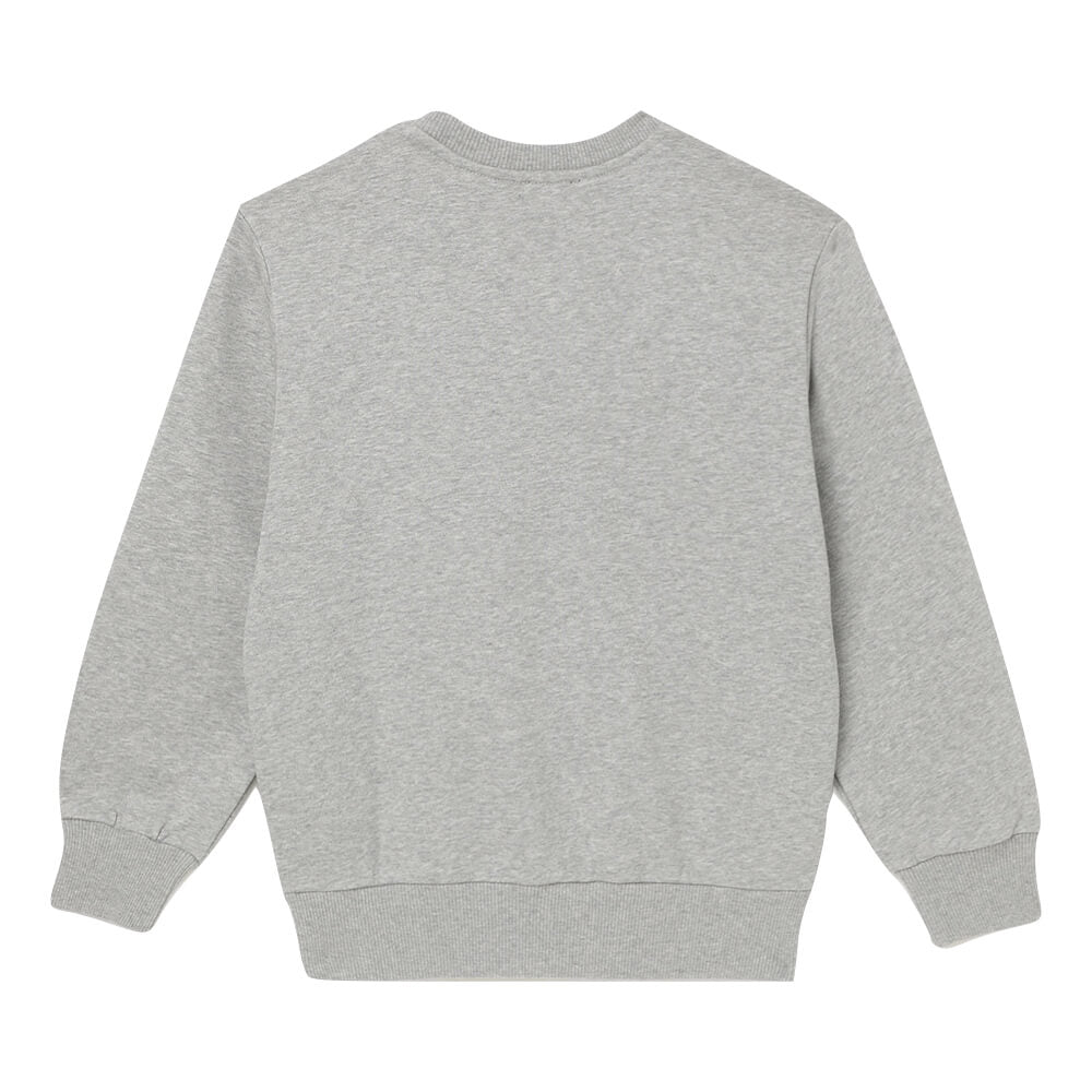 Diesel Boys Grey SGIRKCUTY Sweatshirt