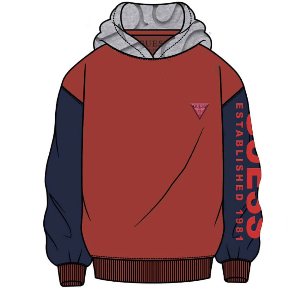 Guess Boys Grey, Navy & Red Hoodie With Arm Logo